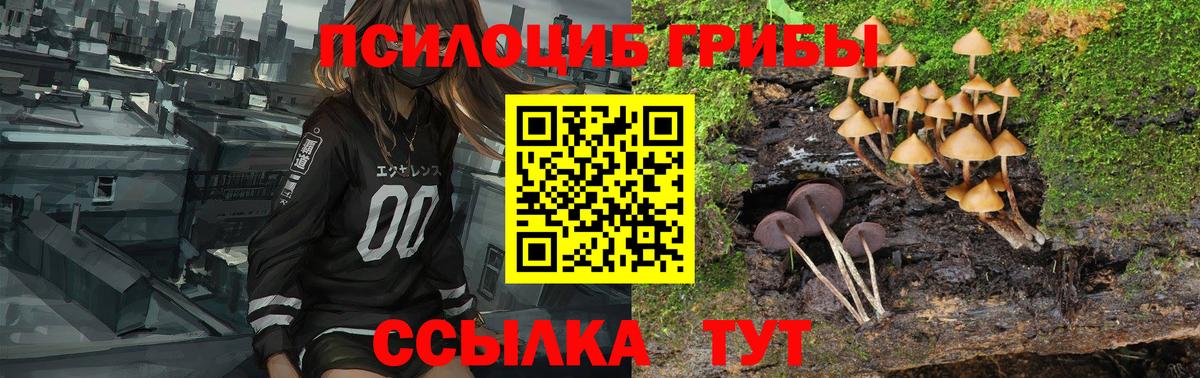 Псилоцибиновые грибы Magic Shrooms  Вход с VPN  Богородицк  Галлюциногенные грибы Psilocybe 